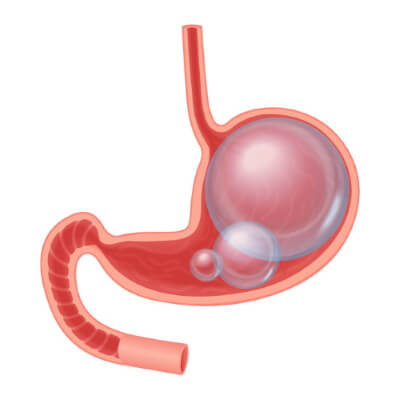 stomach gas vector image